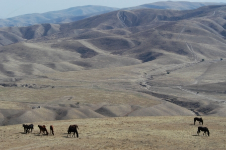 Quad Offroad Tour from Kyrgyzstan in the Taklamakan desert
