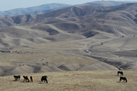 Adventure Tour - Taklamakan desert